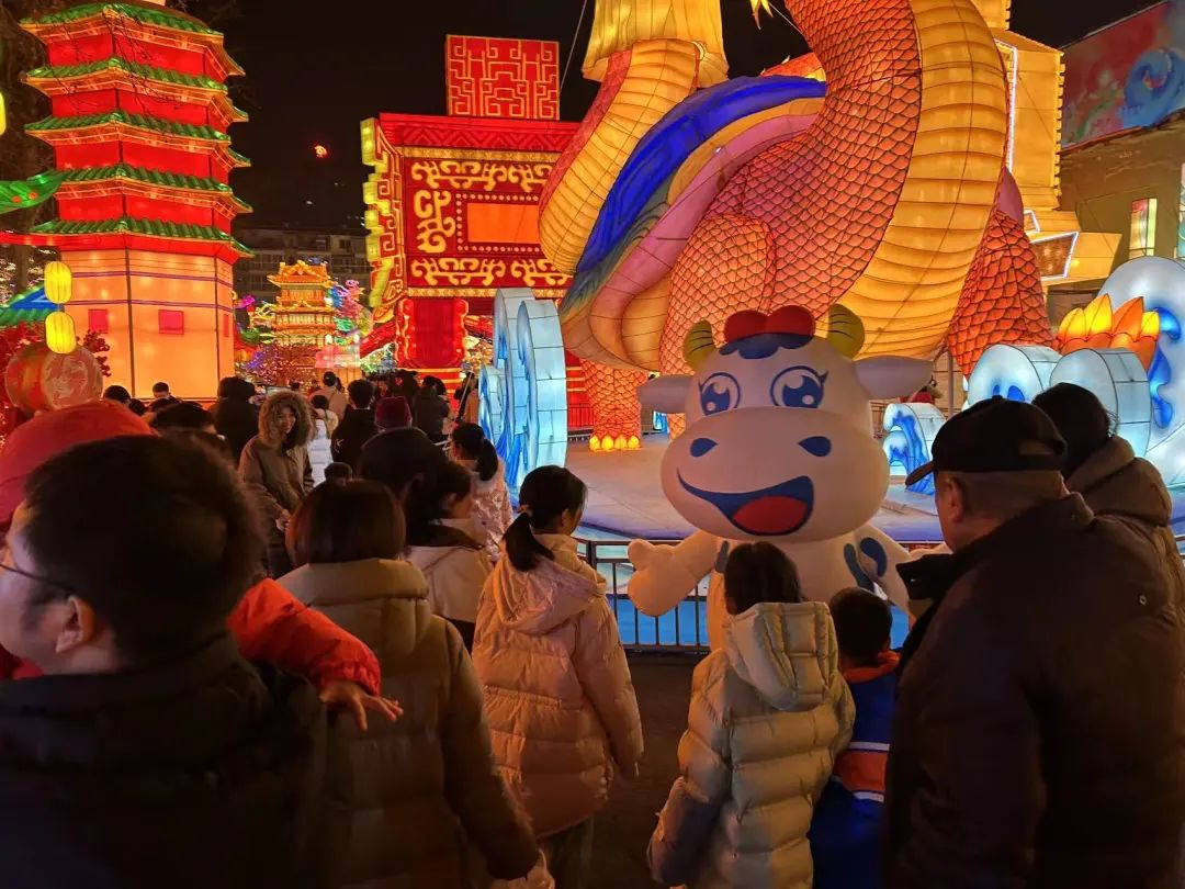 央視直播鄭州龍年燈會迎新春，花花牛品牌上大分