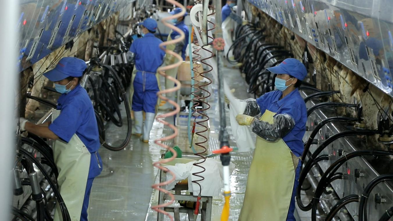 花花牛丨河南農(nóng)業(yè)大學(xué)黨委副書記、校長介曉磊一行蒞臨花花牛河南瑞亞參觀調(diào)研