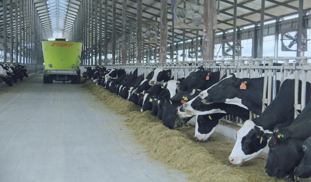 北京大學(xué)南南合作與發(fā)展學(xué)院教授、全球伙伴關(guān)系主任周詠梅一行蒞臨花花牛平輿瑞亞牧業(yè)參觀調(diào)研