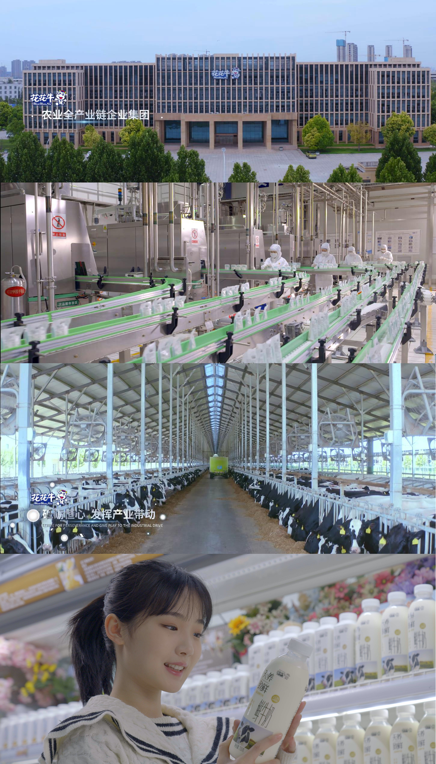 快訊 | 沈陽市政府副市長鄭濱一行蒞臨花花牛乳業(yè)集團考察 快訊 | 沈陽市政府副市長鄭濱一行蒞臨花花牛乳業(yè)集團考察