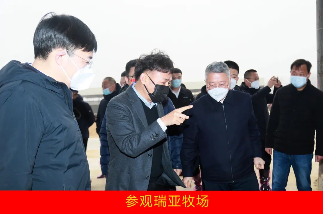 新年開新局 合作促發(fā)展丨佳木斯市委常委、副市長閆志剛一行蒞臨花花牛乳業(yè)集團及佳田企業(yè)考察座談