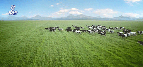 快訊 | 2020河南民營企業(yè)100強發(fā)布 花花牛榮獲“河南民營企業(yè)現(xiàn)代農業(yè)100強”、“河南民營企業(yè)社會責任100強”雙榮譽