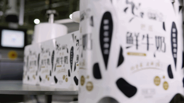 快訊 | 長(zhǎng)江商學(xué)院智能制造學(xué)會(huì)走進(jìn)花花牛乳業(yè)集團(tuán) 快訊 | 長(zhǎng)江商學(xué)院智能制造學(xué)會(huì)走進(jìn)花花牛乳業(yè)集團(tuán)