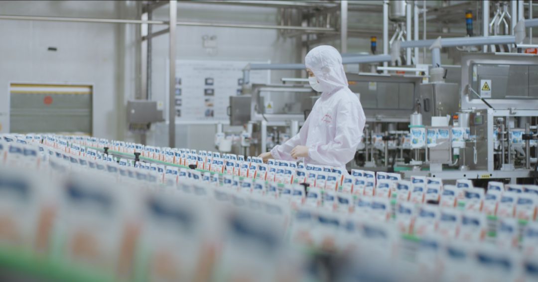 快訊 | 河南省人民政府食品安全委員會辦公室第三批食品安全示范區(qū)驗(yàn)收組領(lǐng)導(dǎo)蒞臨花花牛乳業(yè)集團(tuán)驗(yàn)收食品安全示范區(qū)建設(shè)情況