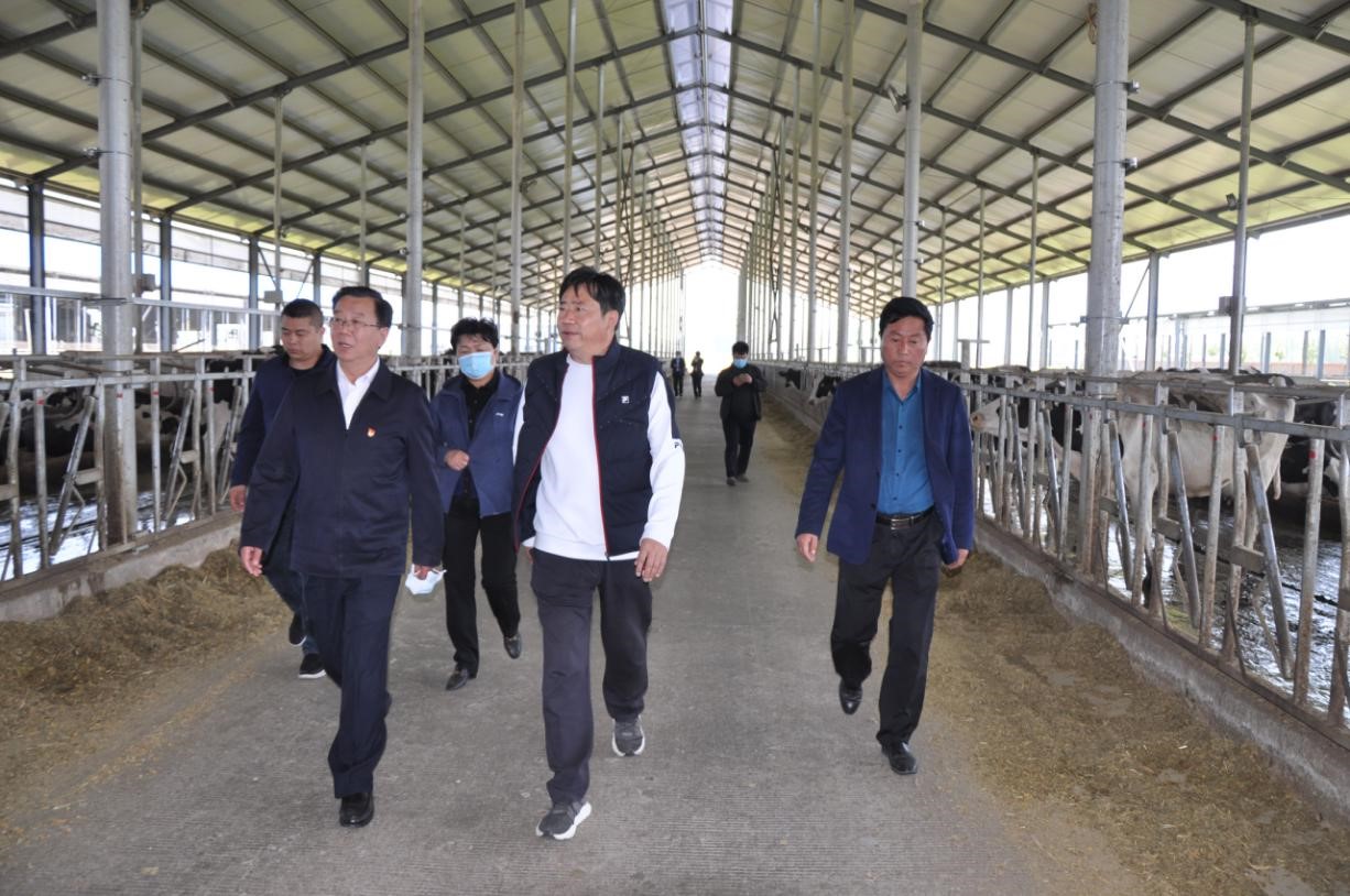 商丘市委常委、宣傳部部長(zhǎng)王全周一行蒞臨睢縣瑞亞牧業(yè)有限公司調(diào)研
