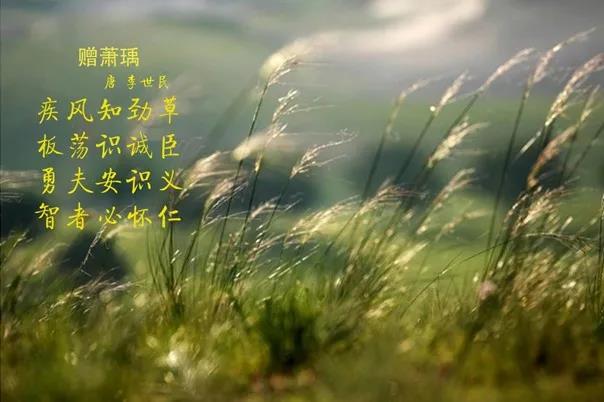 花花牛 | 疾風(fēng)來(lái)臨，你是不是勁草？