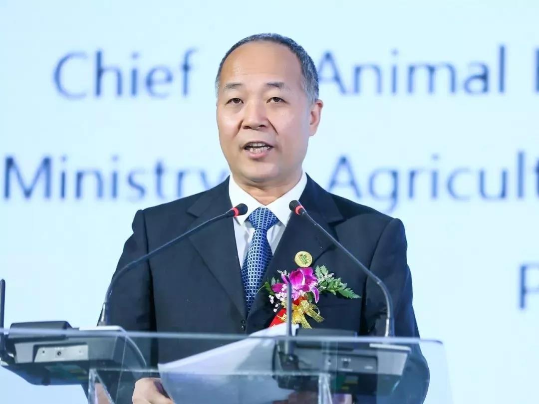 SDDDC走進河南，看看花花牛的國際范兒！