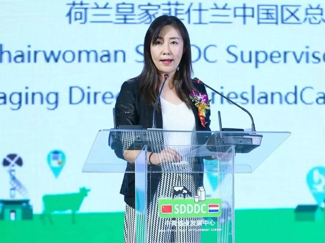 SDDDC走進河南，看看花花牛的國際范兒！