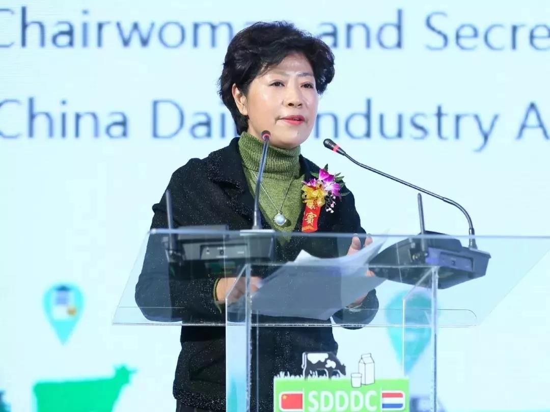 SDDDC走進河南，看看花花牛的國際范兒！