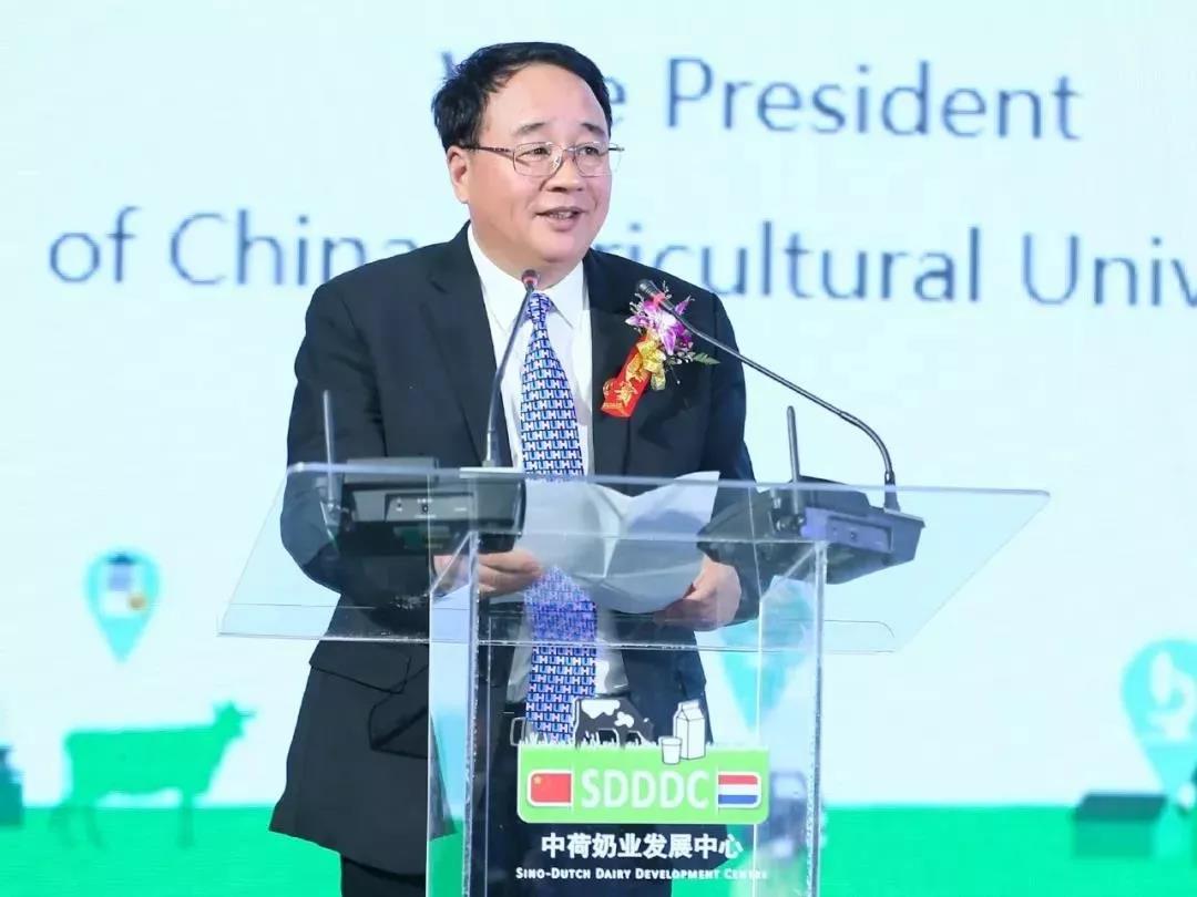 SDDDC走進河南，看看花花牛的國際范兒！