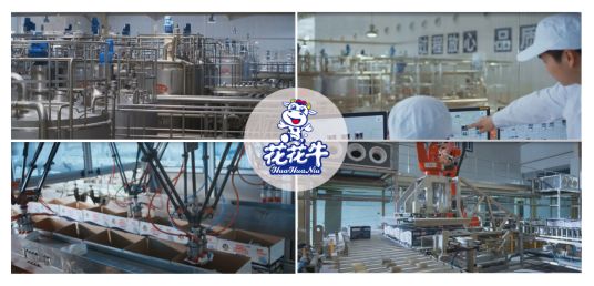 榮獲全國“質(zhì)量月”五項大獎，花花牛真牛！