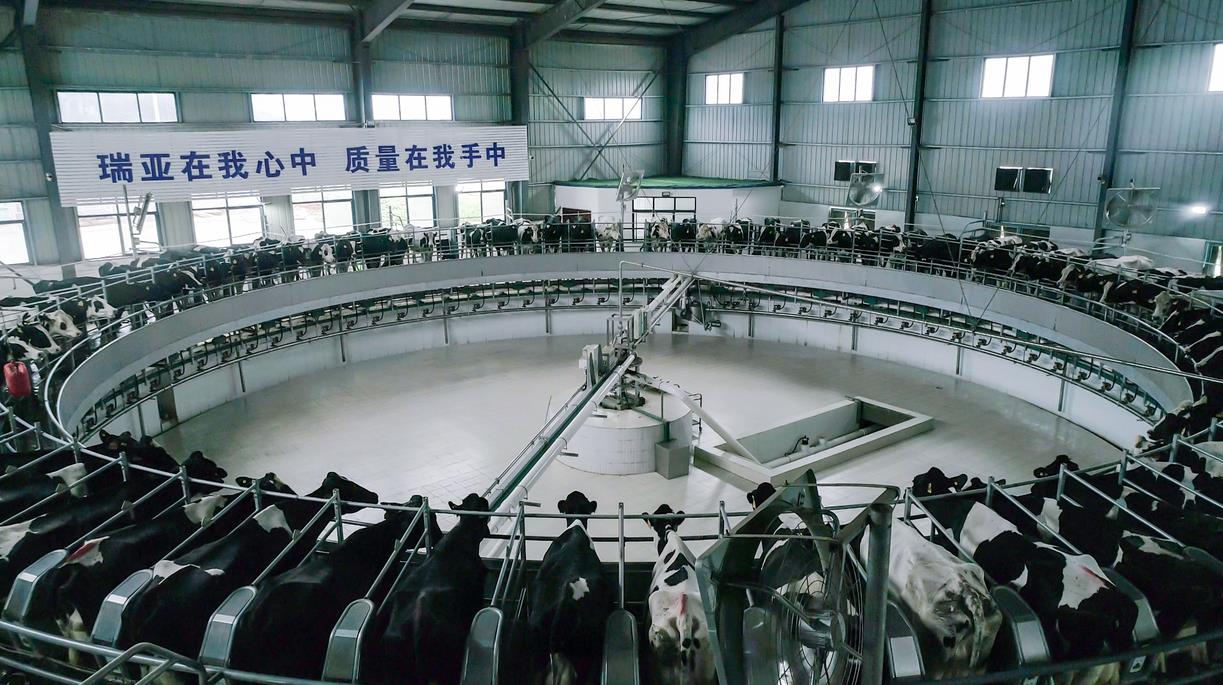 又雙叒叕獲獎(jiǎng)啦！花花牛榮獲“乳品質(zhì)量安全管理 優(yōu)秀企業(yè)”